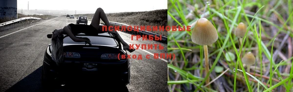 ECSTASY Липки