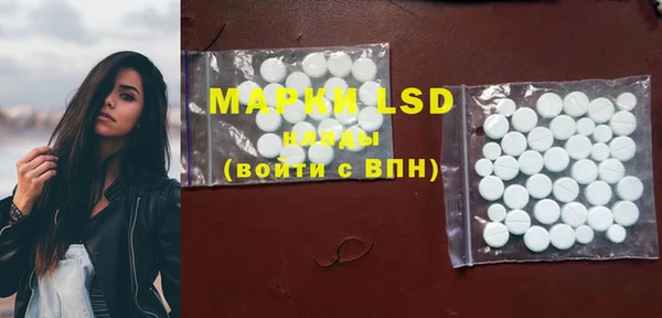 ECSTASY Липки