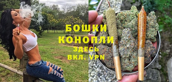 спиды Майский